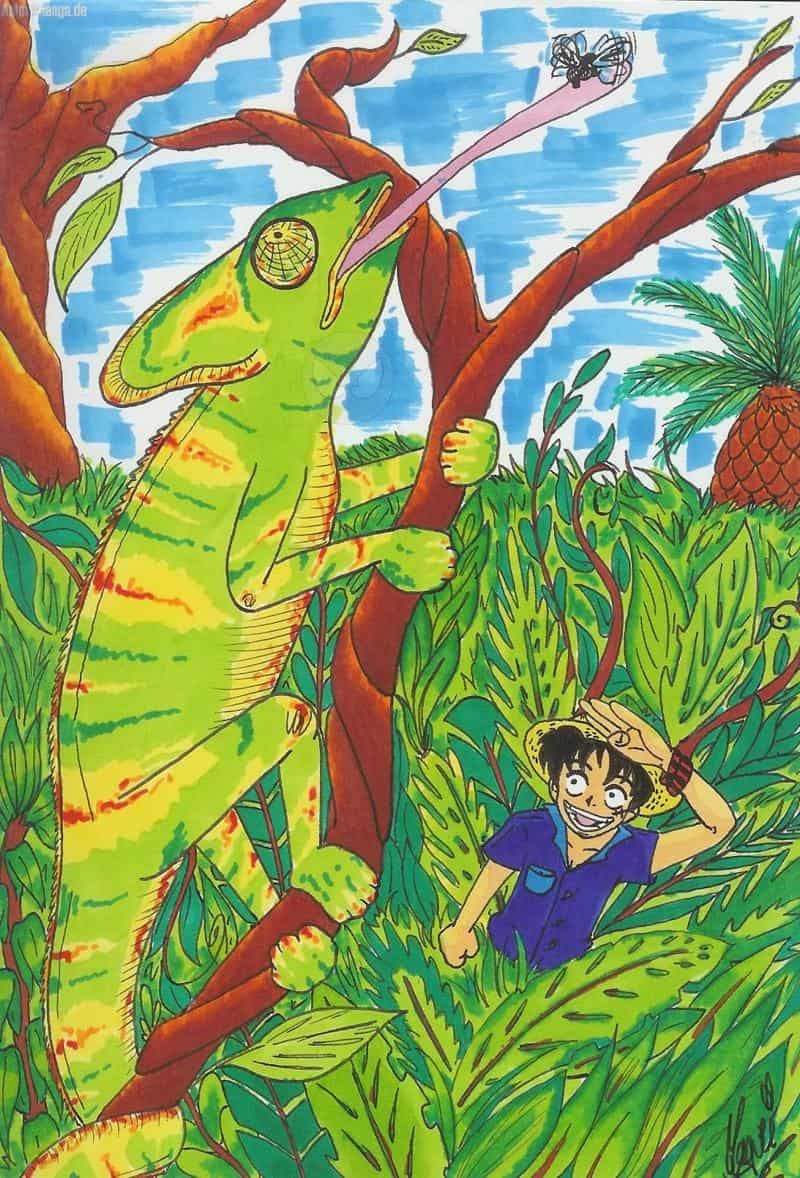 ruffy and the chameleon o^.^o