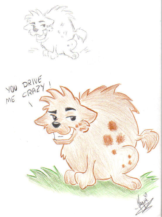 Masanii - A Hyena from Maguzi