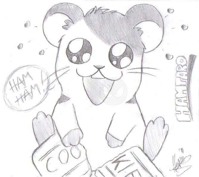 Hamtaro -^.^- *knuff*