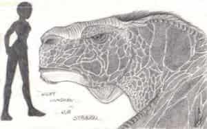 uff .... ne demande pas, je n'ai aucune idée de moi-même * rougir *