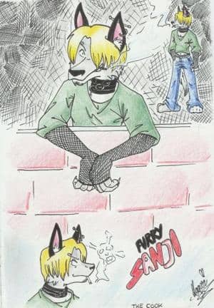 furry-sanji