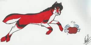 ein ruffy-wolf o^.^o