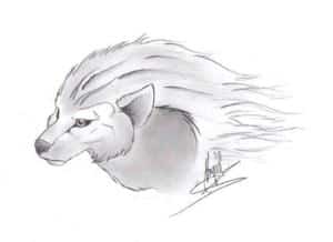 Le loup fantôme de Maguzi