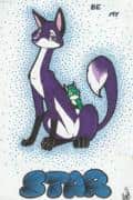 be my star :3