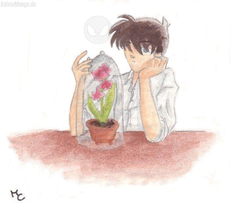 Shinichi - So nah und doch so fern