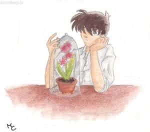 Shinichi - So nah und doch so fern
