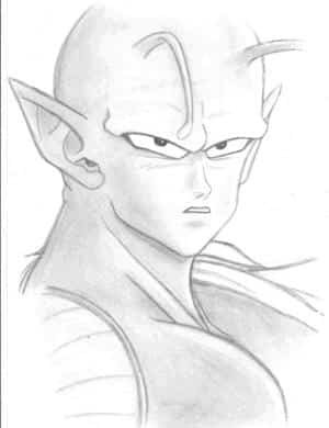 Piccolo