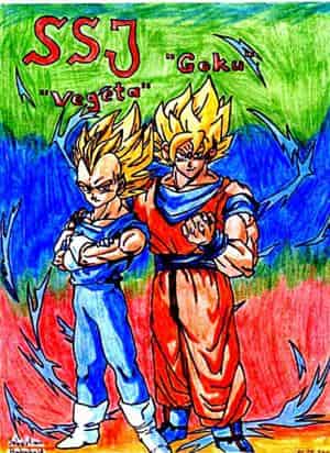 SSJ Goku & SSJ Vegeta