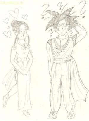 Goku + Chichi