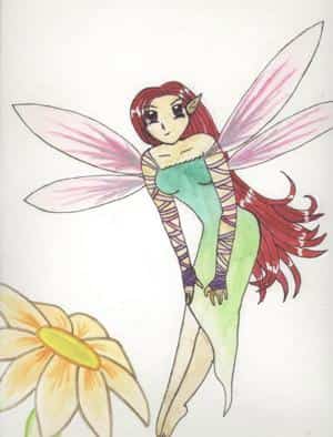 Fairy