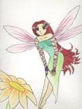 Fairy
