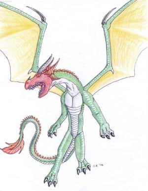 Rotköpfiger Flugdrache