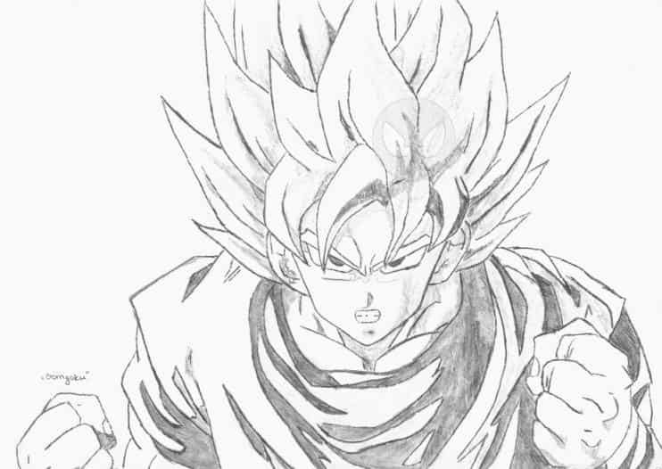SonGoku by Lui