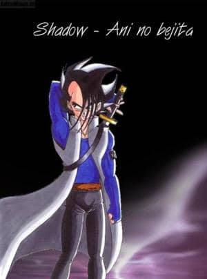 Shadow Cover(first try)