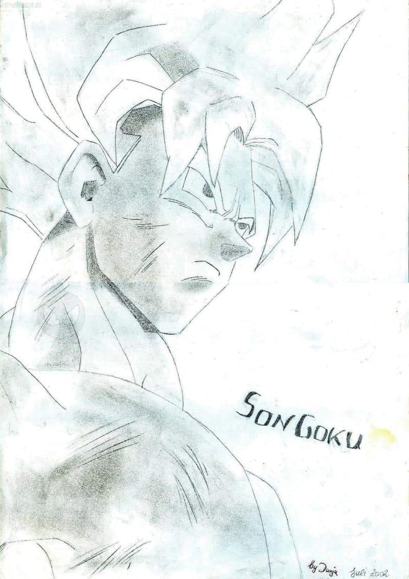 SonGoku by Dunja