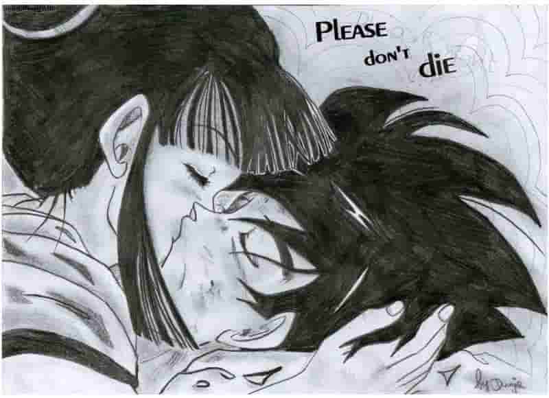 Please dont die (Goku&ChiChi)