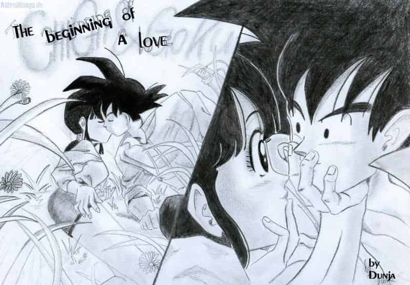 Beginning of a love (ChiChi&Goku)