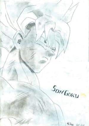 SonGoku by Dunja