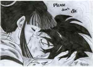 Please dont die (Goku&ChiChi)