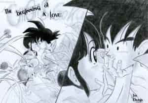 Beginning of a love (ChiChi&Goku)