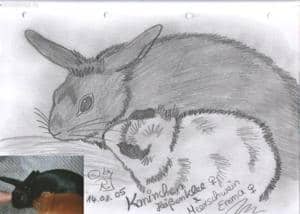 Kaninchen Heißenklee u.Meerschwein Emma