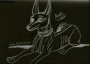 Anubis