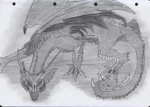Drache!^^