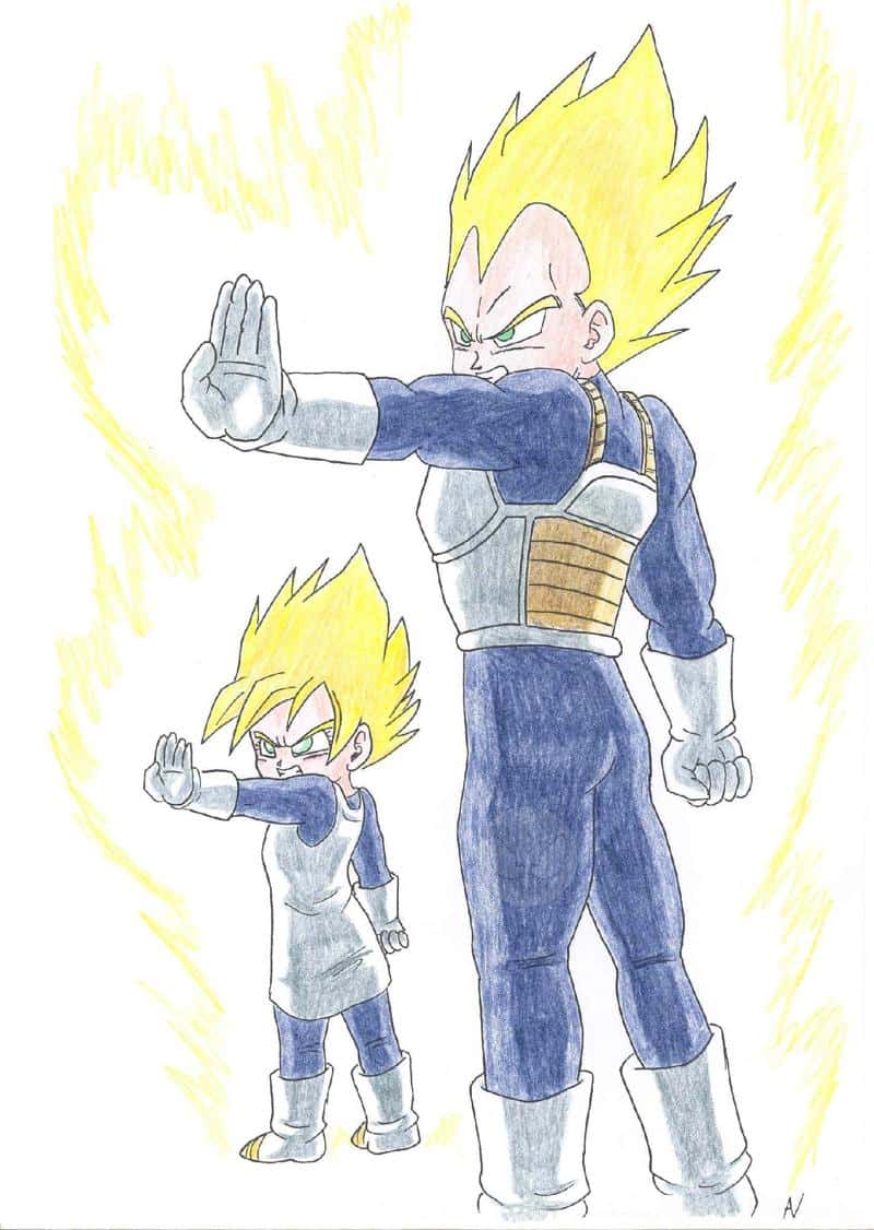 Vegeta and Dheta
