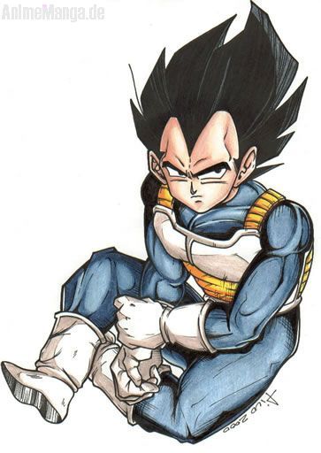 Vegetas Entschuldigung