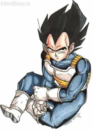 Vegetas Entschuldigung