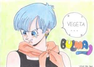 Bulma coloriert