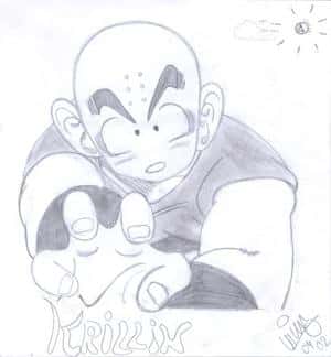 Krillin ohne Piccolo