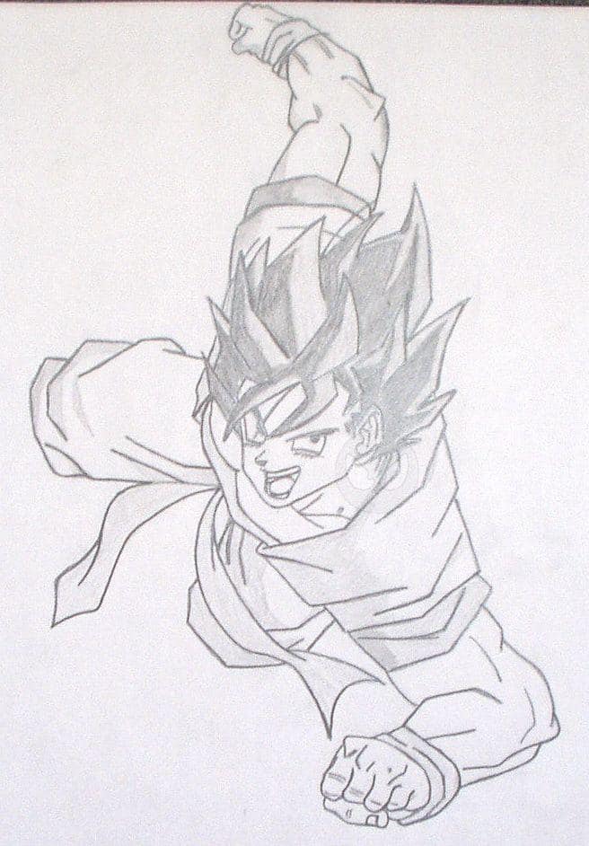 Son Goku fliegt by Wolfsherz