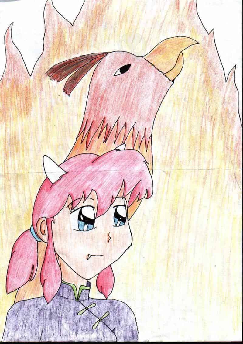 Raiku and the order of the Phoenix oder...kleine Dämonin Raiku