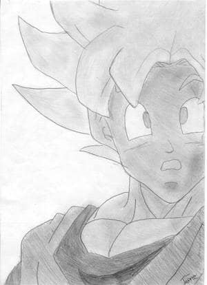 Son Goku SSY