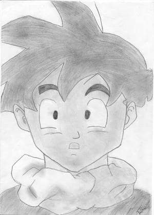 "Son Gohan"