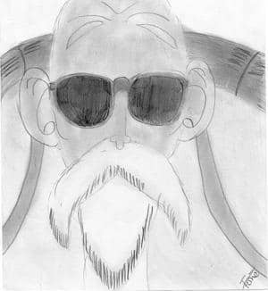 Herr der Schildkröten