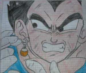Vegeta (mein Favourit)