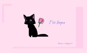 Schwarze Katze mit Blauen Augen für Impa