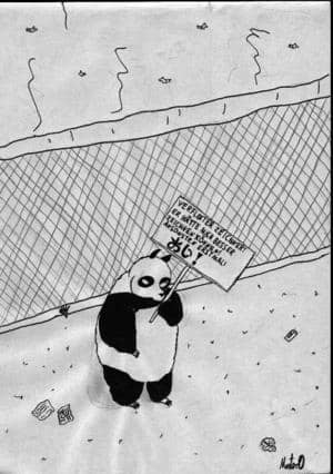 Genma mit Schild! (Panda)