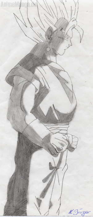 Vegetto oder Gogetta