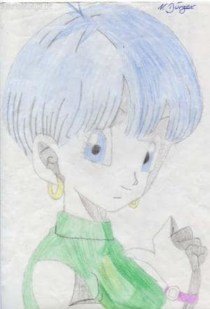 Bulma
