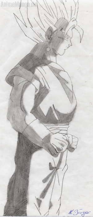 Vegetto oder Gogetta