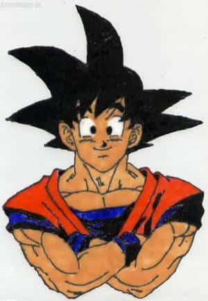 Son Goku