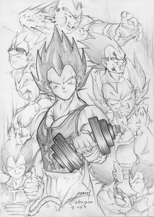 Vegeta-Skizen