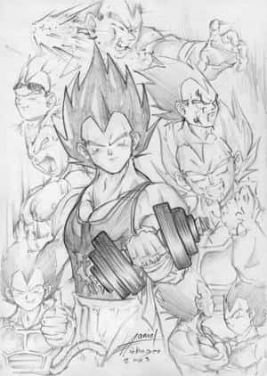 Vegeta-Skizen