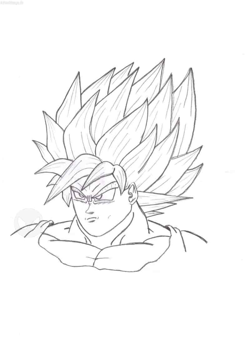 Son-Goku(SSJ)