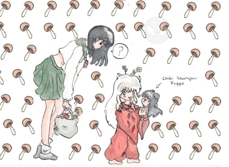 inu yasha bekommt eine chibi shampoo puppe! (für shampooshampoo)