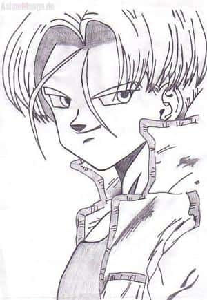 Trunks No1