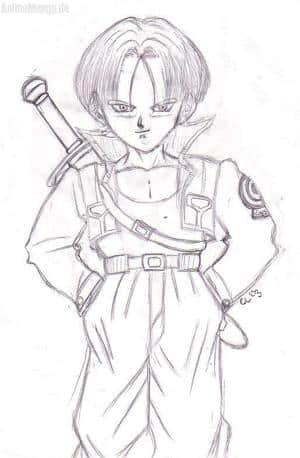 Trunks No.2